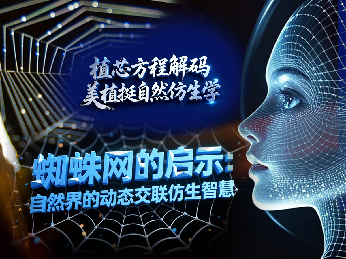 植芯方程解码·美植挺自然仿生学 蜘蛛网的鼻仿生力学借鉴